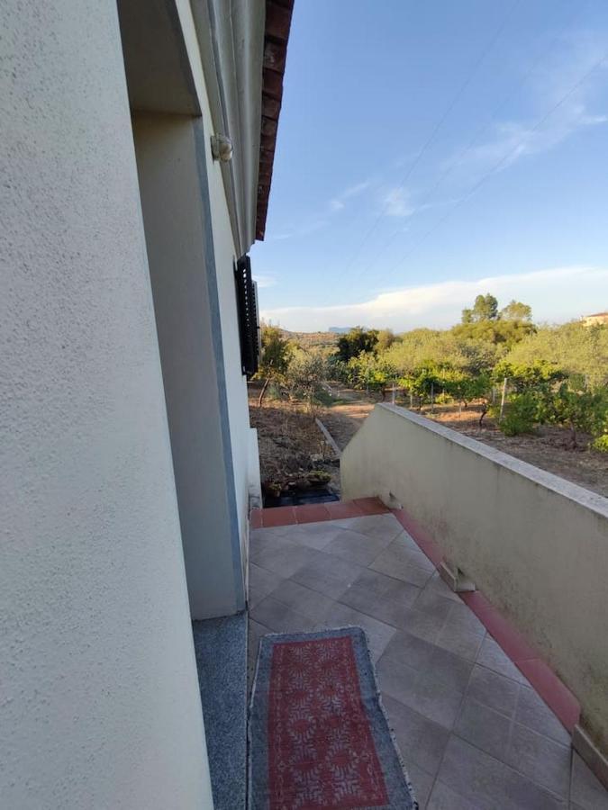 Villa Ulivella Schifoni Esterno foto