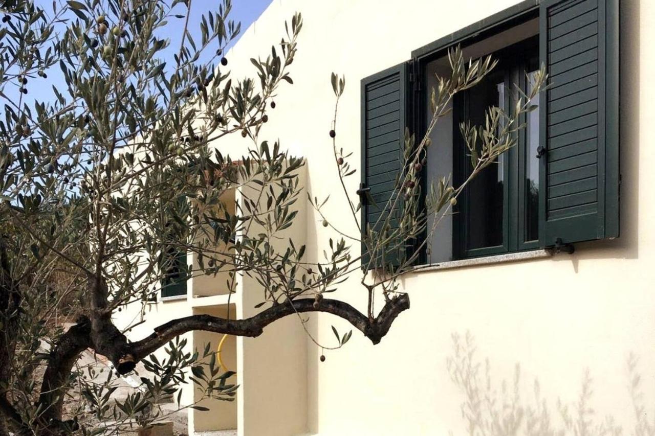 Villa Ulivella Schifoni Esterno foto
