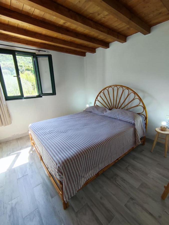 Villa Ulivella Schifoni Esterno foto