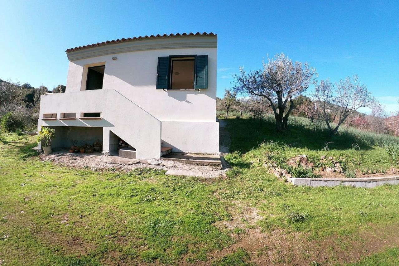 Villa Ulivella Schifoni Esterno foto