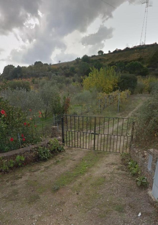 Villa Ulivella Schifoni Esterno foto