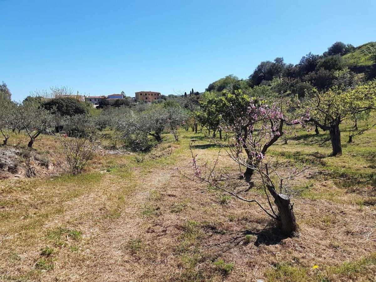 Villa Ulivella Schifoni Esterno foto
