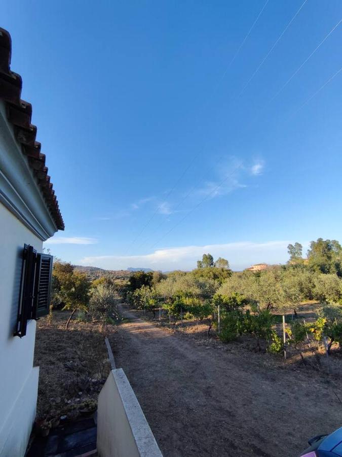 Villa Ulivella Schifoni Esterno foto