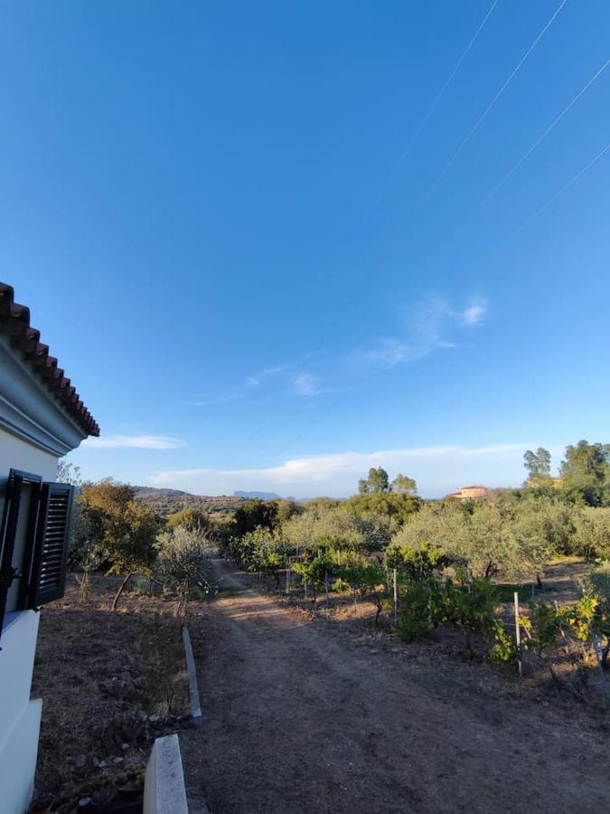 Villa Ulivella Schifoni Esterno foto